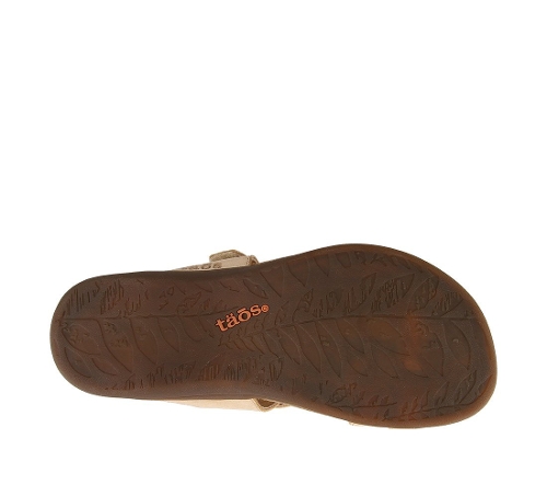 TAN PERFECT - Perspective 4